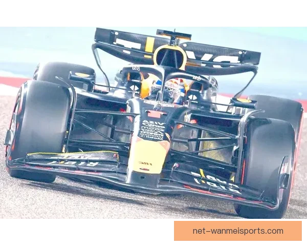 全面解析F1赛车技术精髓视频教程