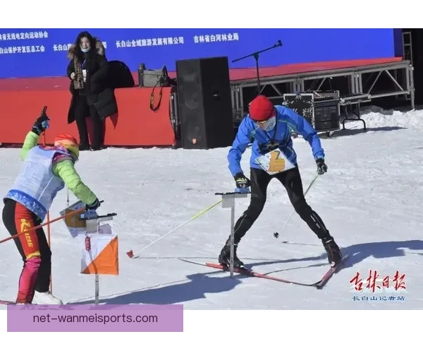 优雅飘逸，技艺超凡：探索滑冰世界的乐趣与挑战