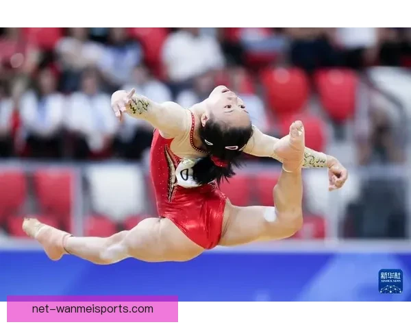 体操世界纪录大揭秘：全方位解析体操界最惊艳壮举