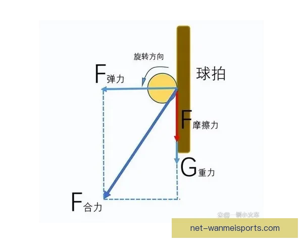 乒乓球初学者指南:技术要领、基本规则与训练建议 乒乓球初学者指南:技术要领、基本规则与训练建议