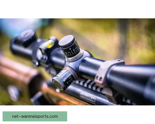 全面解读射击排名榜单:技术、成绩与比赛背景 全面解读射击排名榜单:技术、成绩与比赛背景