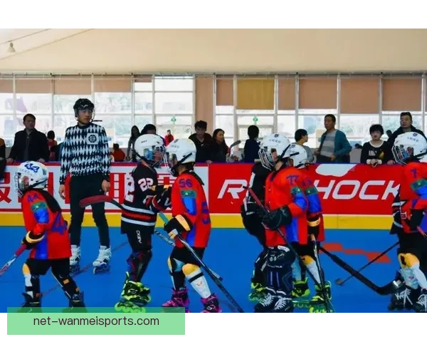 冰球积分榜全面分析：助您轻松掌握最新比赛情报