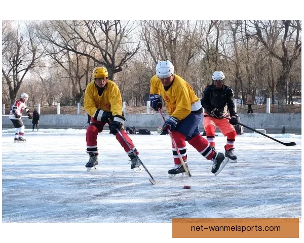冰球教学视频:轻松学习技巧 畅享冰上乐趣 冰球教学视频:轻松学习技巧 畅享冰上乐趣