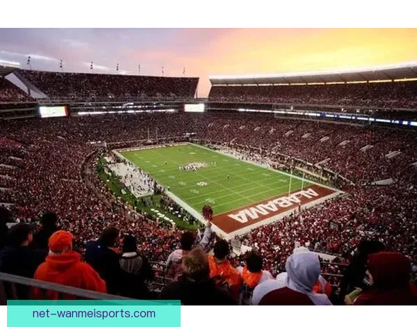 历史辉煌的橄榄球冠军之路