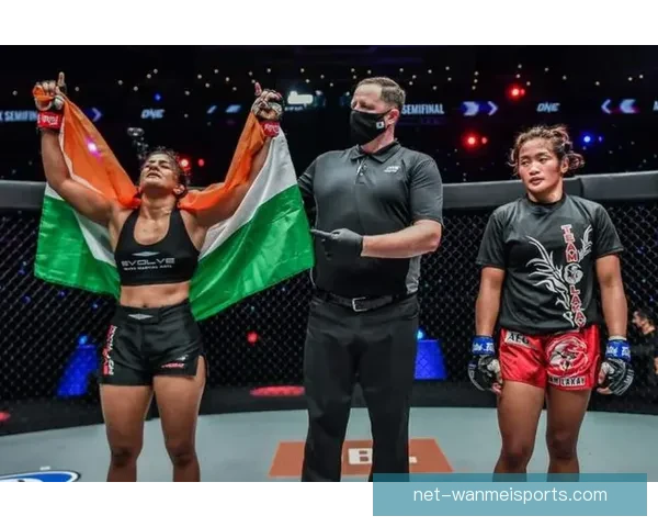 摔跤大奖赛：巅峰对决，擂台风云