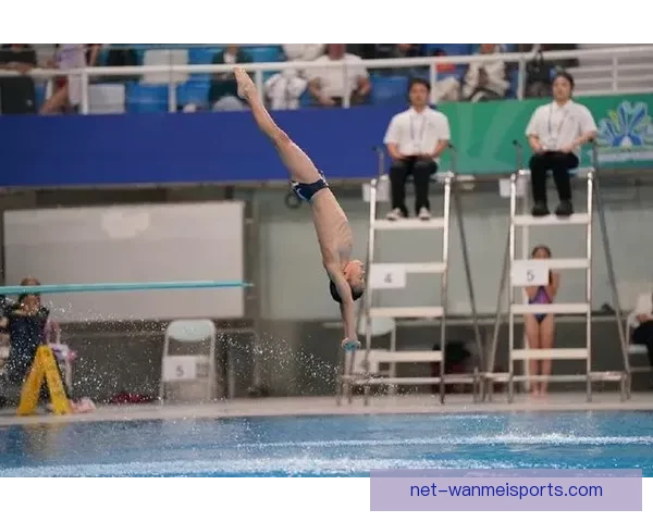 精彩纷呈的跳水锦标赛盛宴 精彩纷呈的跳水锦标赛盛宴