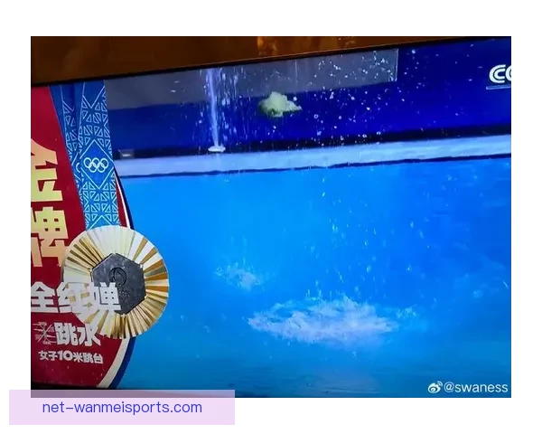 跳水大奖赛：冠军闪耀，华丽腾空