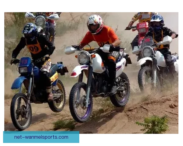 骑行风云：挑战极限，征服赛场